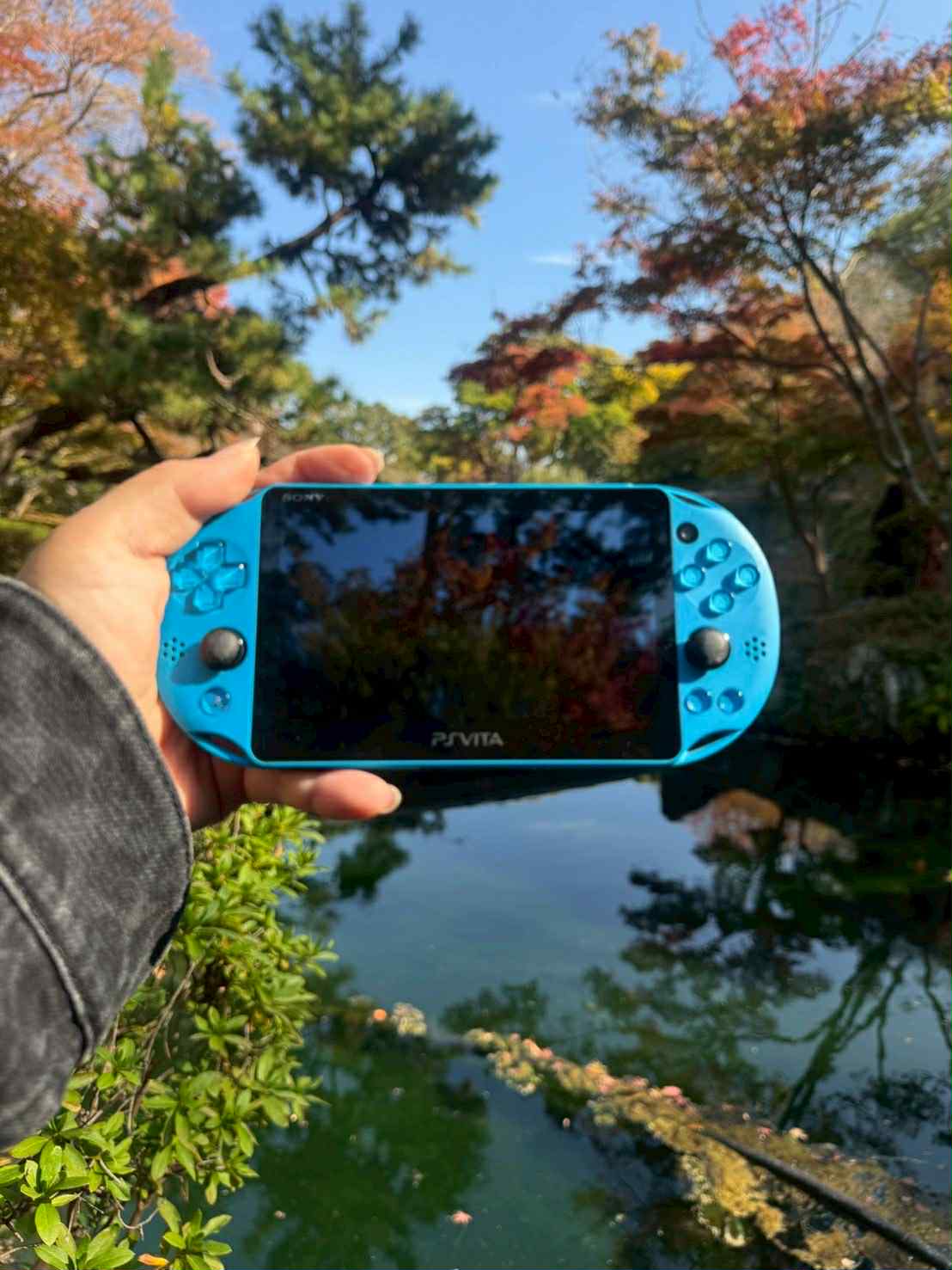 ソニー PS Vita 2000 – ブルー