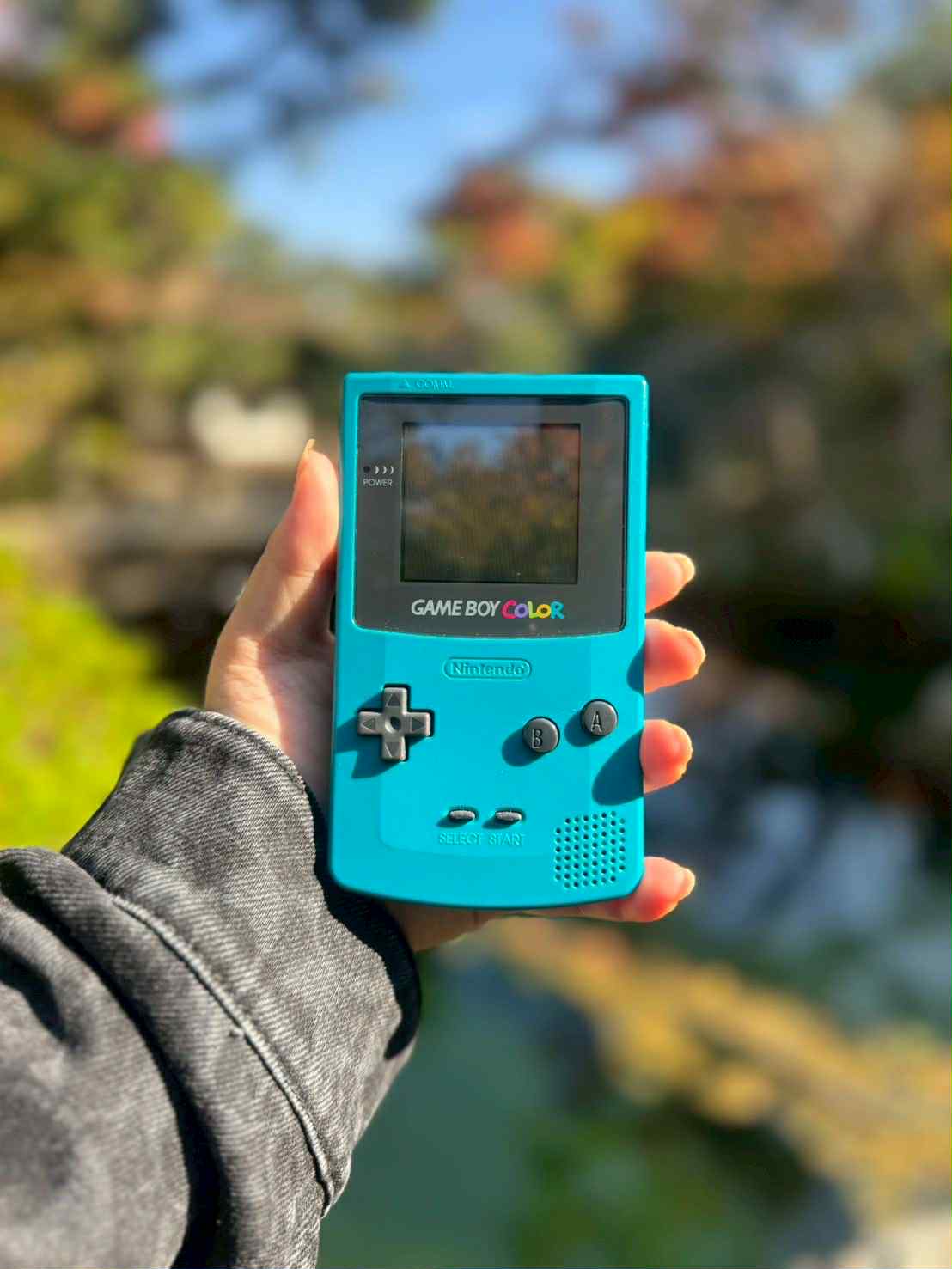 ゲームボーイカラー – ティール（ターコイズブルー）